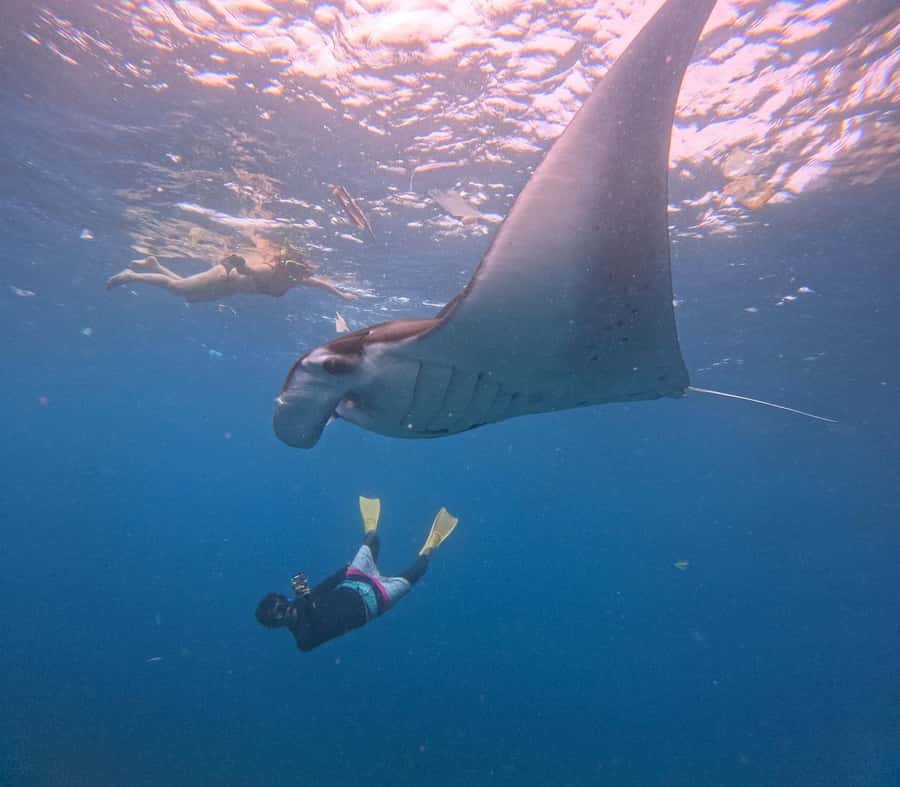 From Bali: Nusa Penida Snorkel 3 Spots w/ GoPro & Kayak tour - What the $40 price really buys