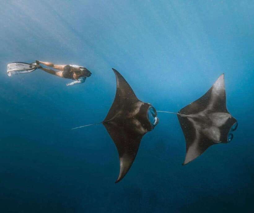 From Bali: Nusa Penida Snorkeling and West Coast Tour - How the transport and guiding affect the day