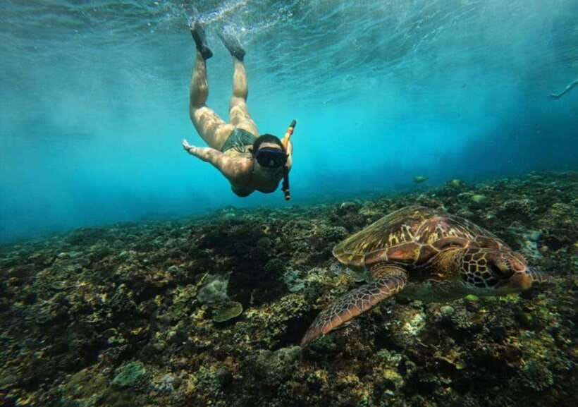 From Bali: Nusa Penida Snorkeling and West Coast Tour - Getting from Bali to Nusa Penida