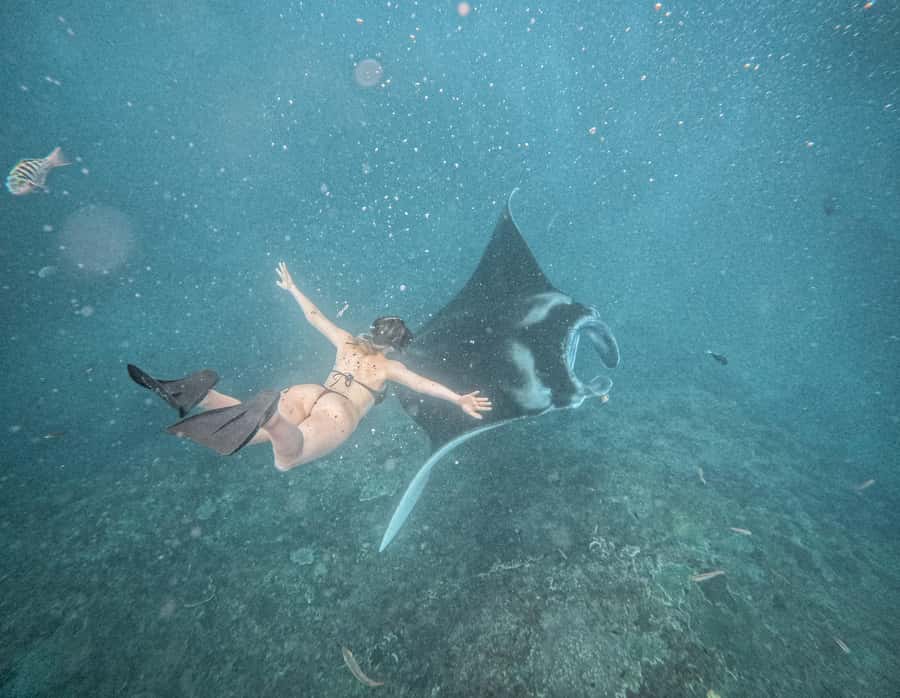 From Bali: Snorkeling 3 Spots with GoPro & West Penida Tour - One day, two very different sides of Nusa Penida