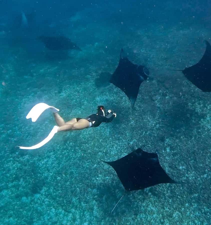 From Bali: Snorkeling at Manta Point Nusa Penida & Land Tour - Key points to know before booking