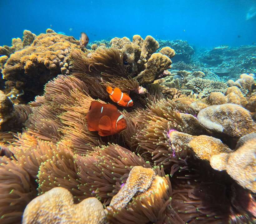 From Bali : Snorkeling & Nusa Penida Island Tour with Lunch - One day, two very different sides of Nusa Penida