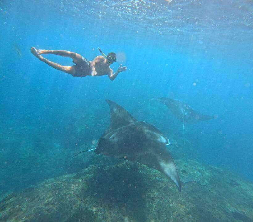 From Bali : Snorkeling & Nusa Penida Island Tour with Lunch - Snorkeling at Manta Bay, Gamat Bay, and Wall Point