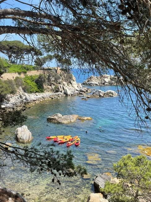 From Barcelona: Costa Brava Kayak & Snorkel Tour with Picnic - The guides are a major part of the value