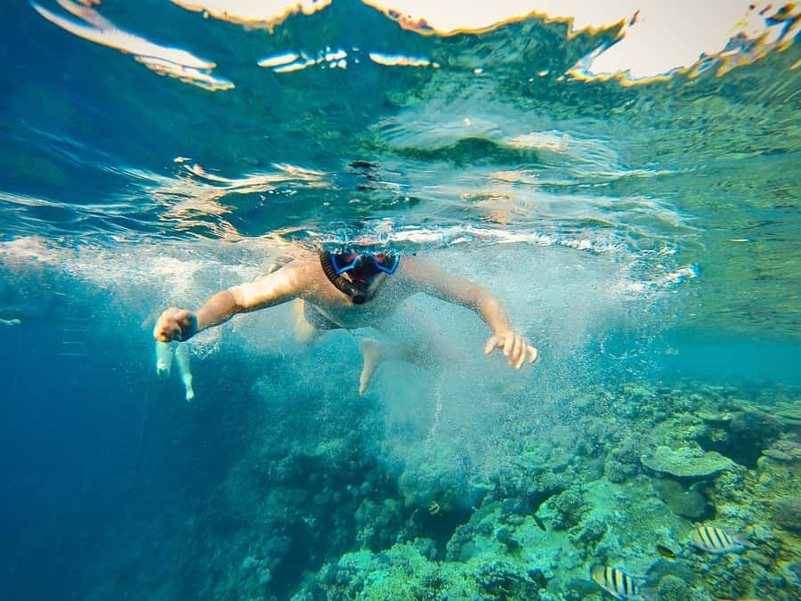 From Cairo: Snorkeling Trip on Yacht with Lunch - Boarding the yacht at Ain Sokhna
