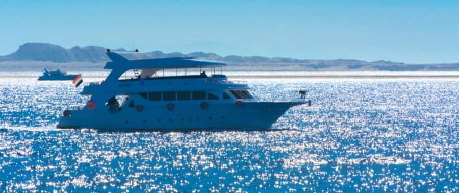 From Cairo: Snorkeling Trip on Yacht with Lunch - Snorkeling time and water conditions