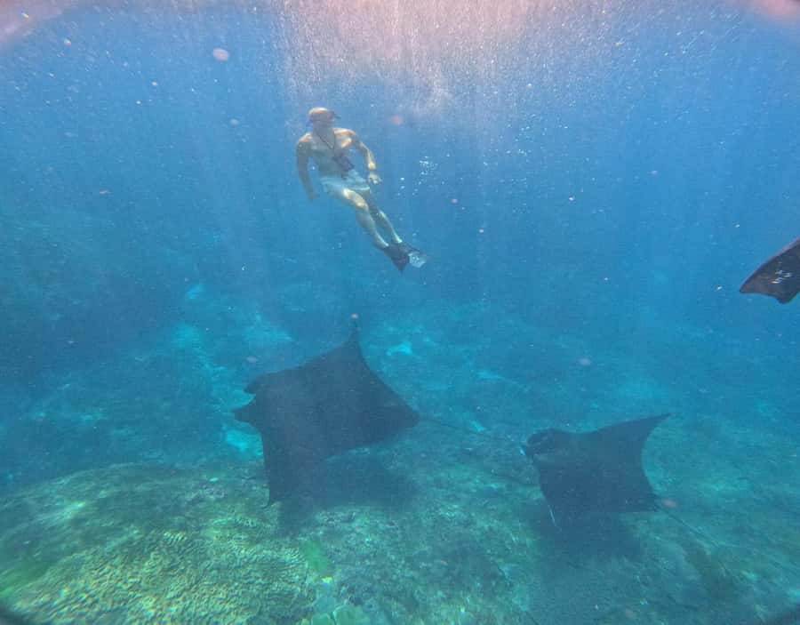 From Ceningan: Snorkeling with Manta Rays & Land Tour - Gamat Bay for coral, fish, and a calmer change of pace