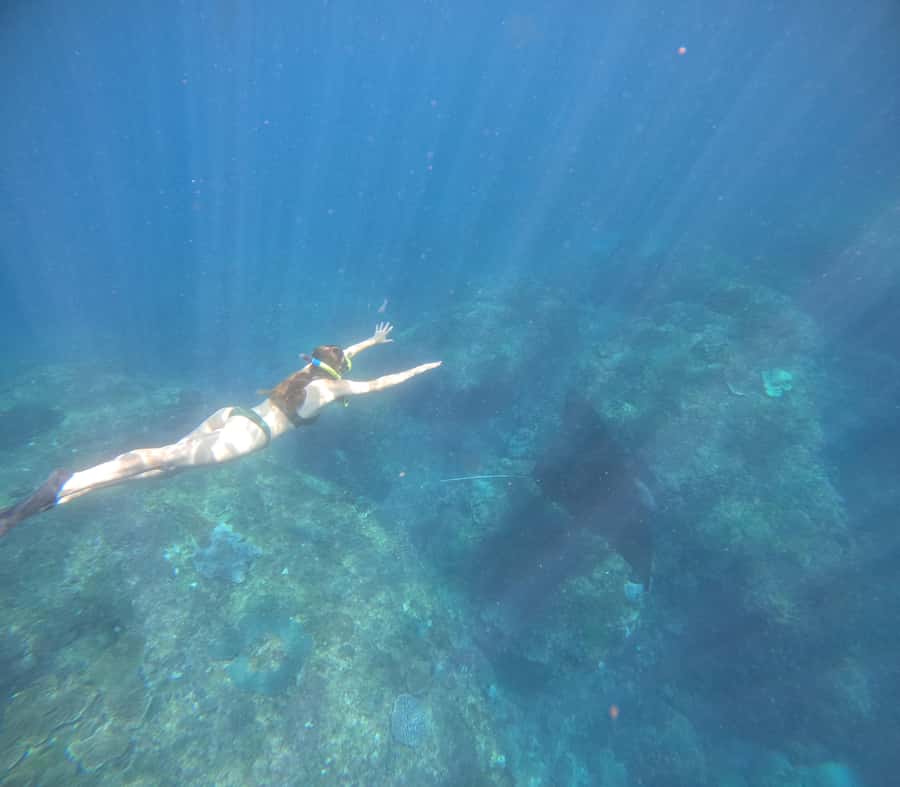 From Ceningan: Snorkeling with Manta Rays & Land Tour - The guides and what their role adds