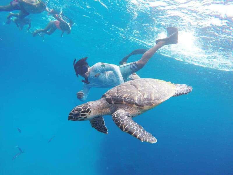 From Cozumel: 3 Reefs Boat Tour with Drinks and Snorkeling - Three reefs, three different Cozumel experiences