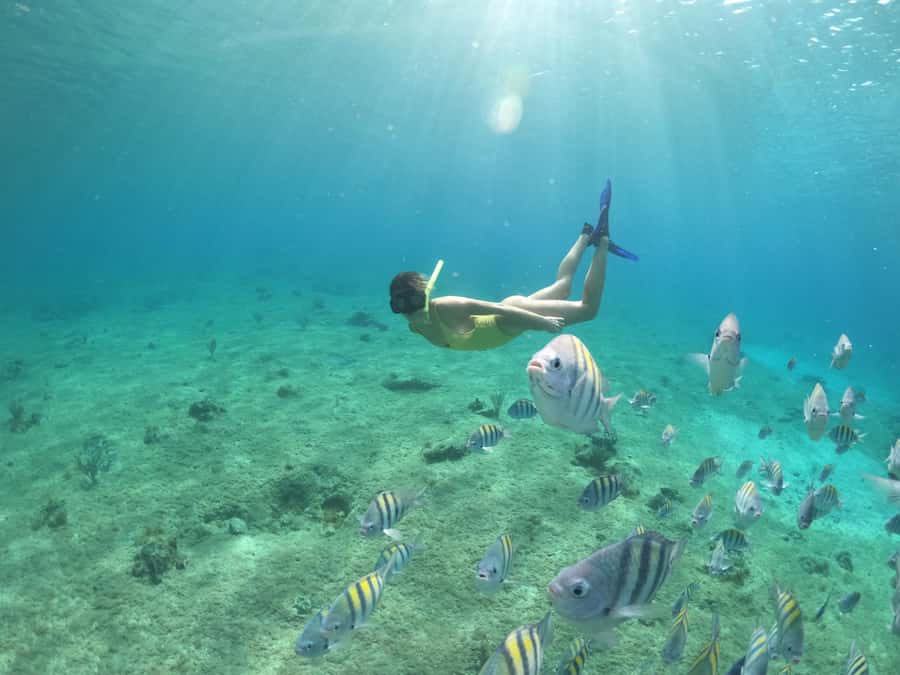 From Cozumel: Invisible Boat Snorkeling Tour - Booking details worth keeping in mind