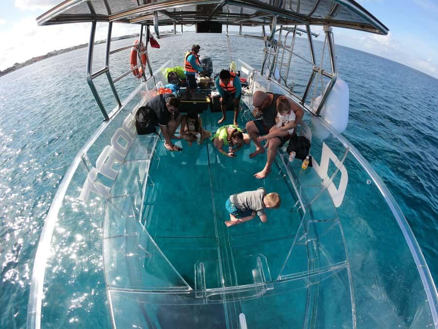 From Cozumel: Invisible Boat Snorkeling Tour - Seeing the reef through a boat that nearly disappears