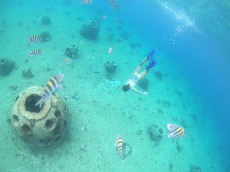 From Cozumel: Invisible Boat Snorkeling Tour - Timing, duration, and the cruise-day question