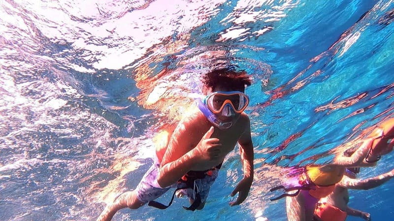 From Cozumel: Official Chankanaab Park Day Pass and Snorkel - Why Chankanaab works well for a short Cozumel stop