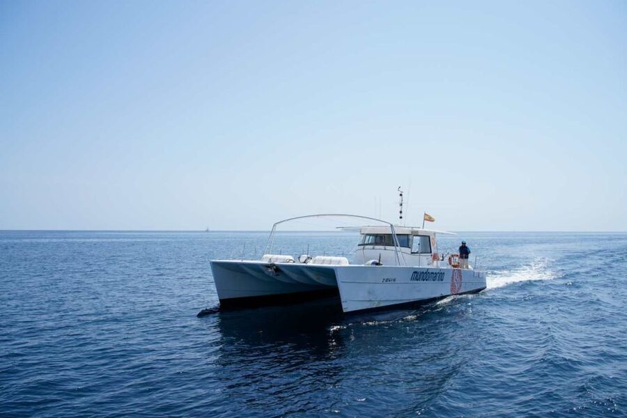 From Denia or Javea: 3 Cape Boat Excursion with Snorkeling - Who will enjoy this boat trip most?