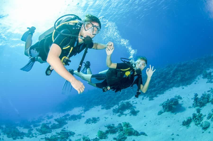From Dubai: Discovery Scuba Diving & Snorkeling In Fujairah - The first underwater session at 10 meters