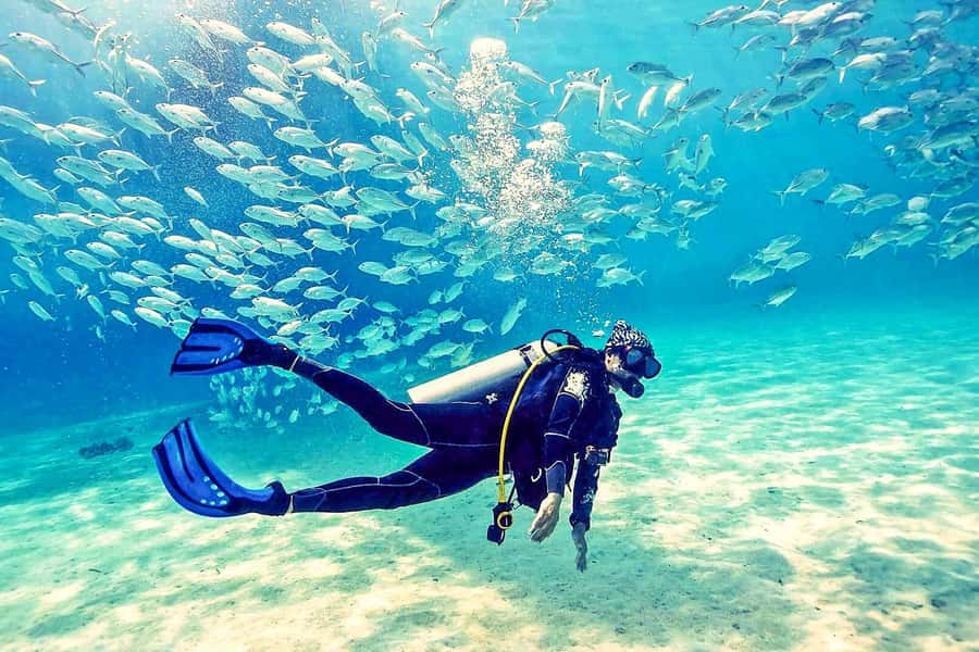 From Dubai: Fujairah Half-Day Scuba Dive and Snorkeling - What beginners can expect underwater