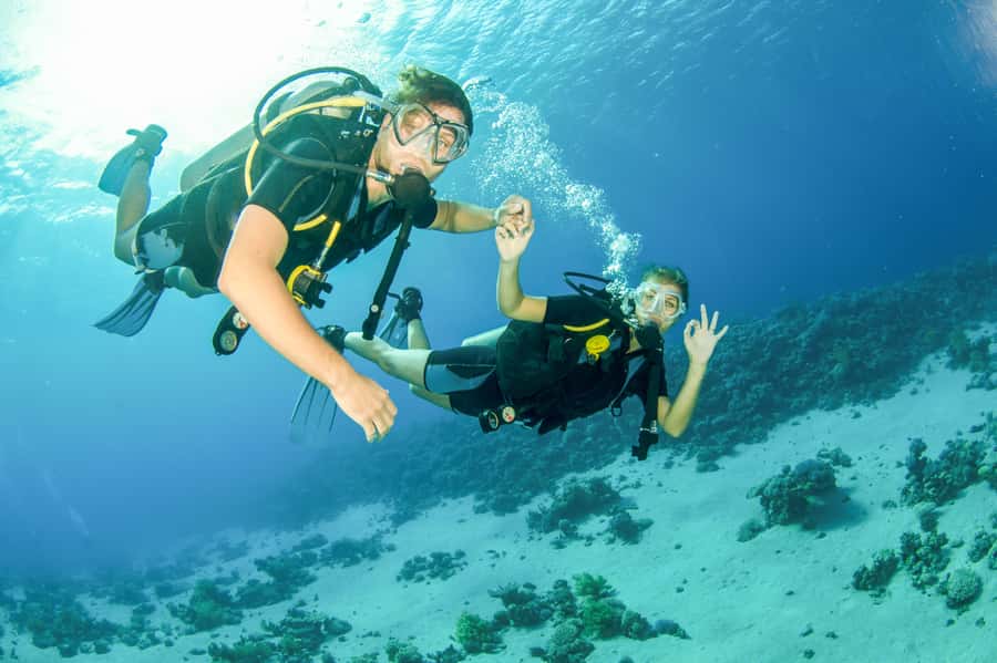 From Dubai: Fujairah Half-Day Scuba Dive and Snorkeling - Arriving at the Fujairah dive center