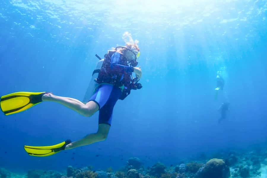 From Dubai: Fujairah Scuba Dive and Snorkeling - From Dubai to Fujairah’s East Coast