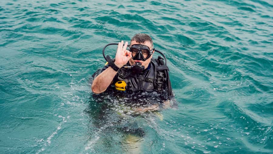 From Dubai: Fujairah Scuba Dive and Snorkeling - What the $157 Price Really Covers