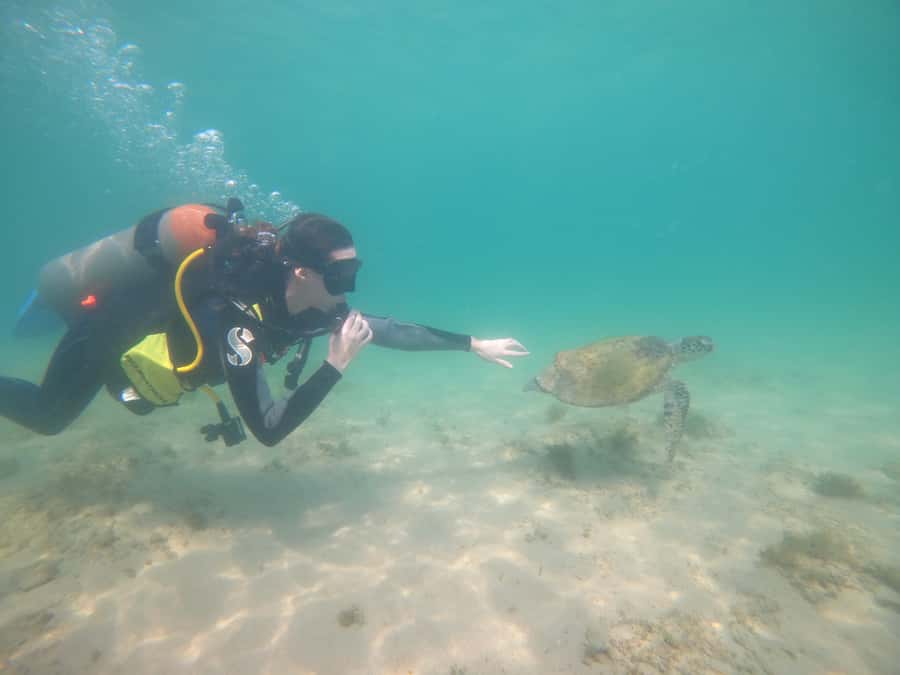 From Dubai: Fujairah Scuba Dive and Snorkeling - Safety, Certification, and Comfort Details