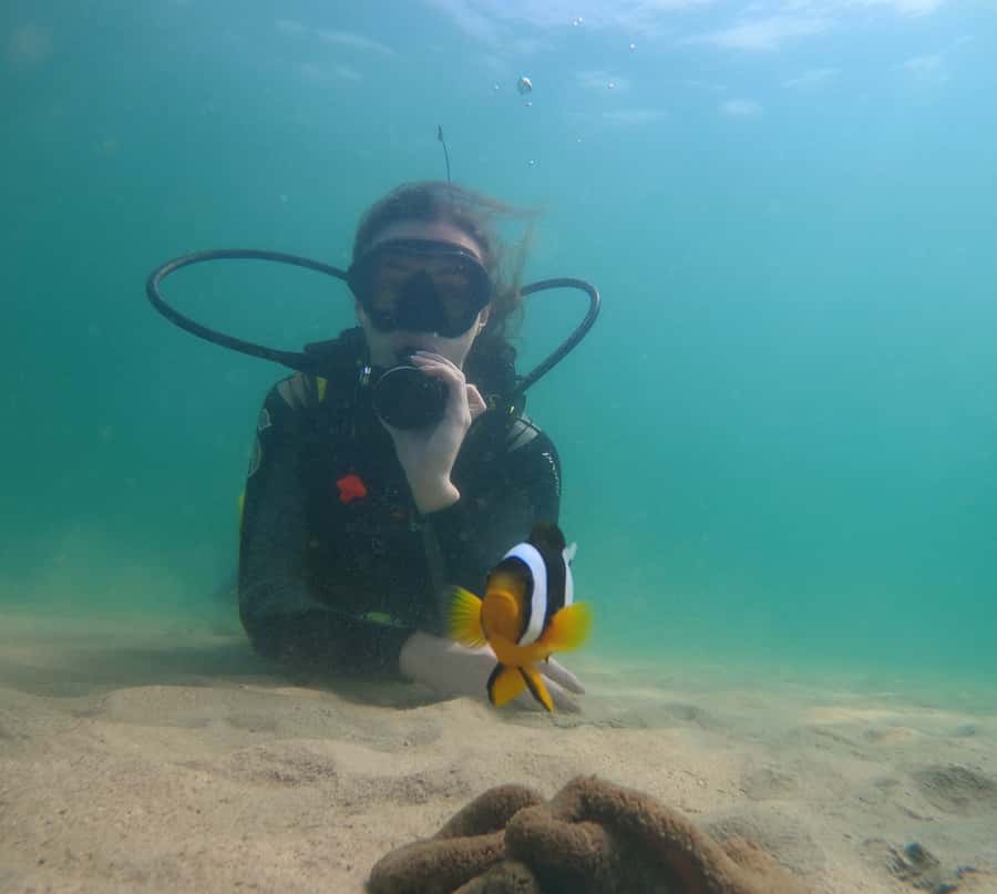 From Dubai: Fujairah Scuba Dive and Snorkeling - The Best Fit for This Fujairah Trip