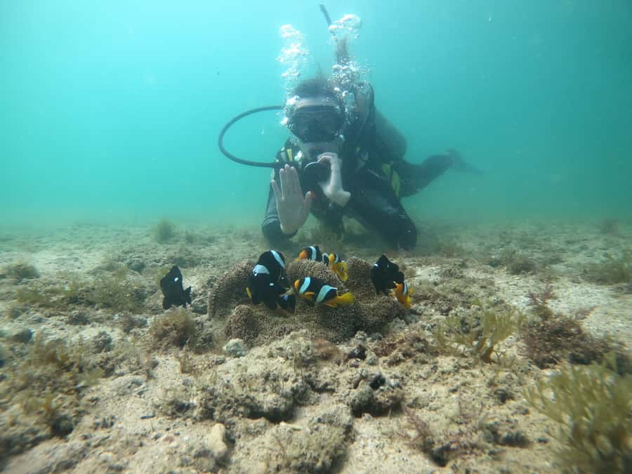 From Dubai: Fujairah Scuba Dive and Snorkeling - Should You Book the Nemo Diving Center Trip?