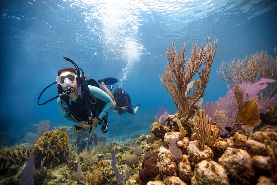 From Dubai: Fujairah Scuba Dive and Snorkeling - Cruising With the Hajar Mountains Behind You
