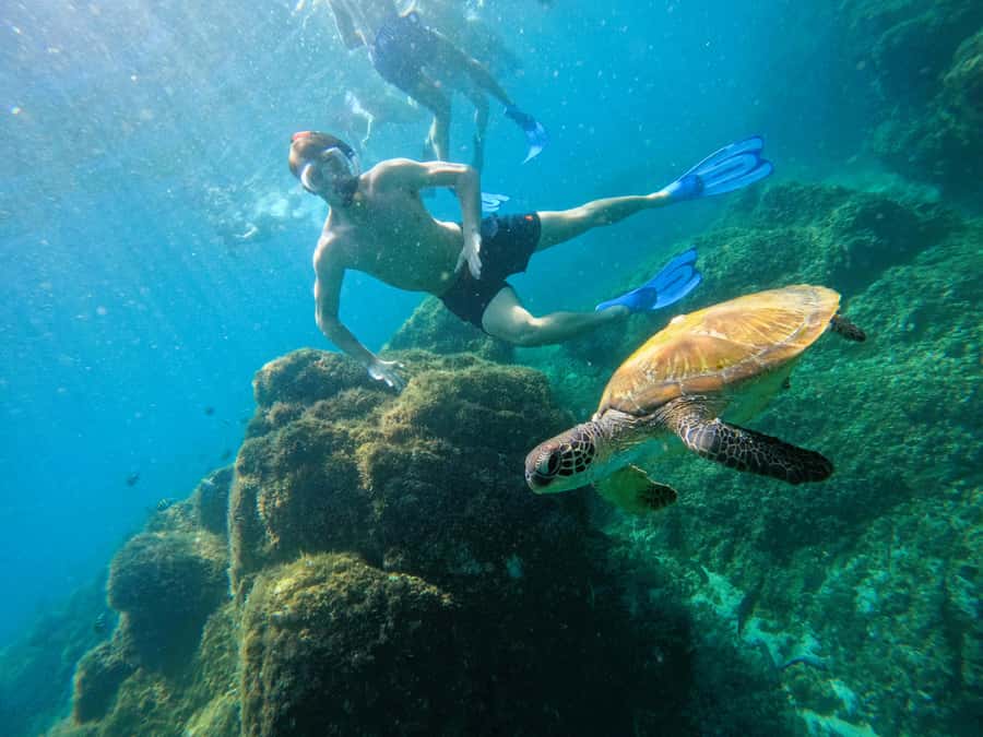 From Dubai: Fujairah Snorkeling with Turtles, Transfer & BBQ - The 42-foot boat and what is actually included