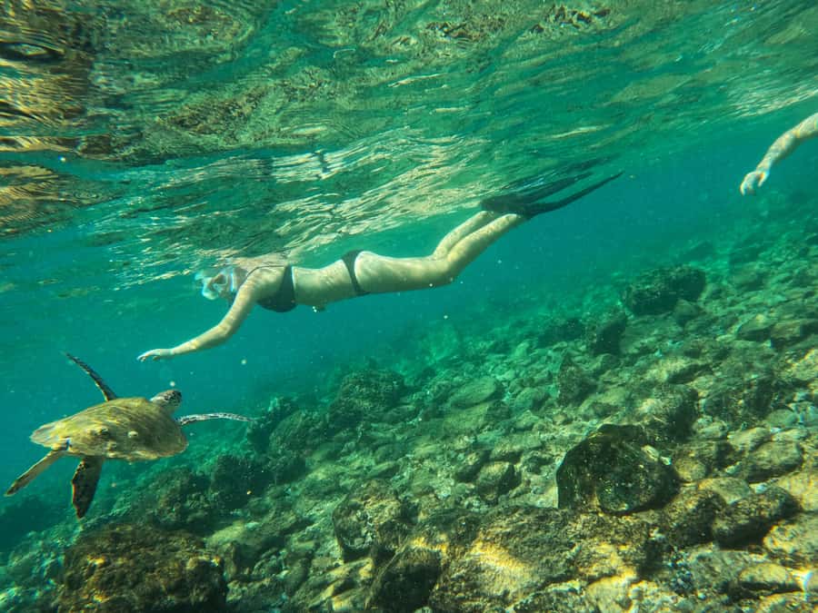 From Dubai: Fujairah Snorkeling with Turtles, Transfer & BBQ - Pickup from Dubai and arrival at the water center