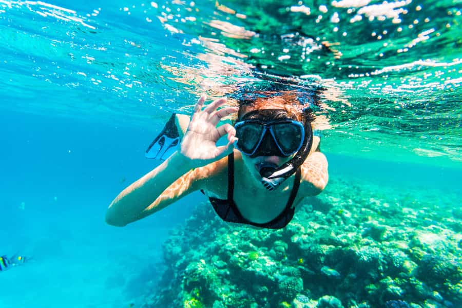 From Dubai: Snorkeling Trip to Dibba Al-Fujairah - Key points to know before you book