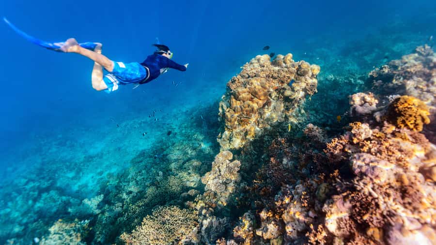 From Dubai: Snorkeling Trip to Dibba Al-Fujairah - From Dubai to Dibba Al-Fujairah by road