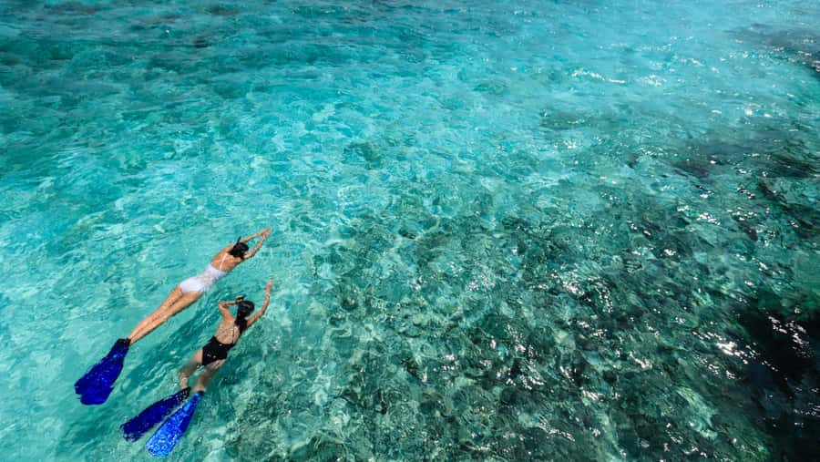From Dubai: Snorkeling Trip to Dibba Al-Fujairah - Should you book the Dibba Al-Fujairah snorkeling trip?