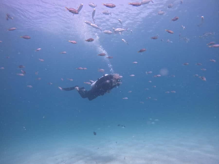 From Dubai: Try Scuba Diving, Snorkeling with BBQ & Transfer - The early road from Dubai to Fujairah