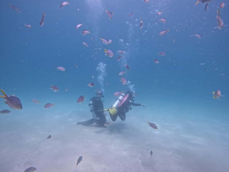 From Dubai: Try Scuba Diving, Snorkeling with BBQ & Transfer - Sharm Rocks and the advantage of a second water stop