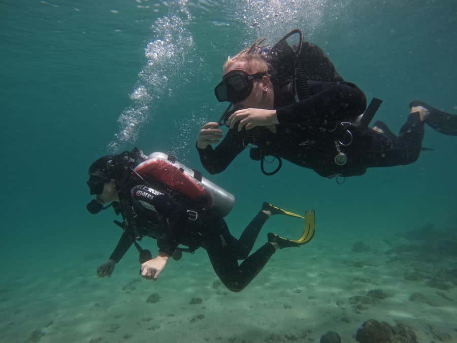 From Dubai: Try Scuba Diving, Snorkeling with BBQ & Transfer - Lunch at Reef Oasis Dive Club