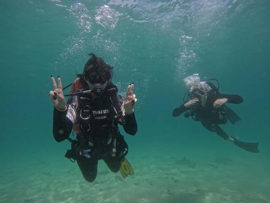 From Dubai: Try Scuba Diving, Snorkeling with BBQ & Transfer - What the small group changes