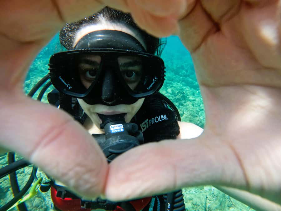 From Dubai: Try Scuba Diving, Snorkeling with BBQ & Transfer - How the $163 price measures up