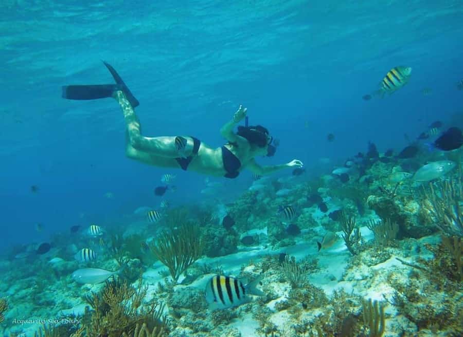 From Fajardo: Boat and Snorkeling in Culebra Island with All-Inclusive - Snorkeling in clear water around Culebra