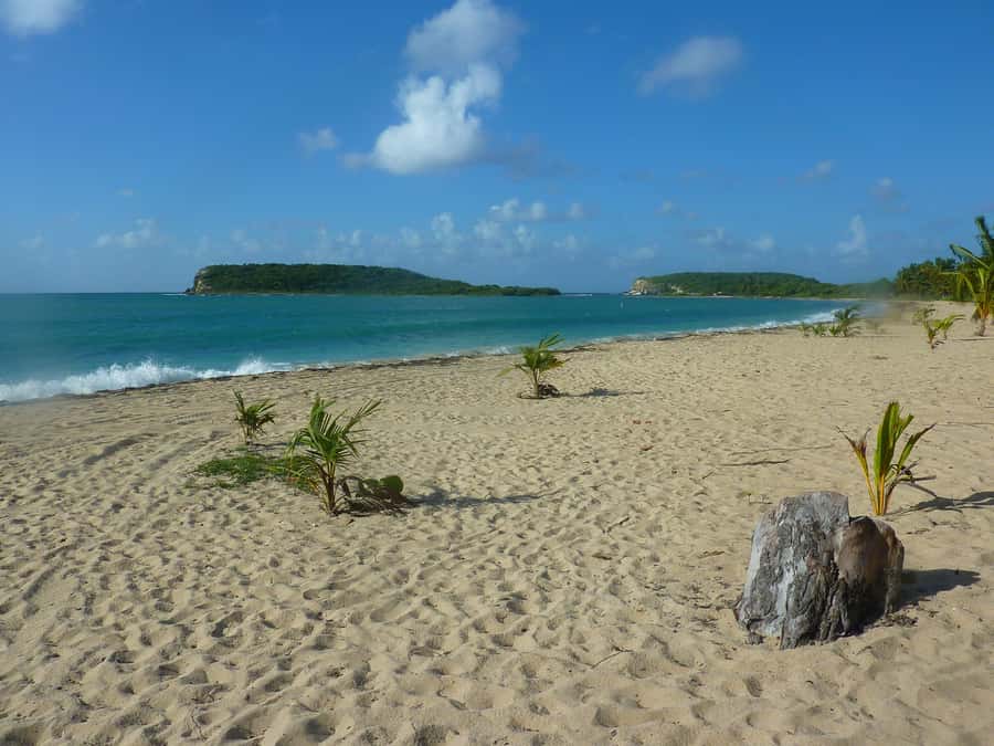 From Fajardo: Boat and Snorkeling in Culebra Island with All-Inclusive - Who should book this Culebra outing