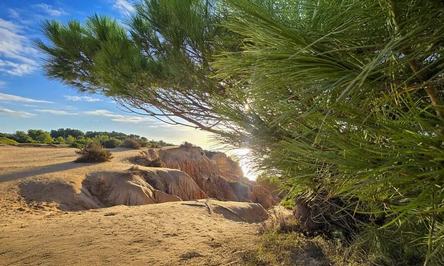 From Faro: 7 Valleys Hiking, Benagil Cave, & Snorkeling Tour - What the guides add to the day