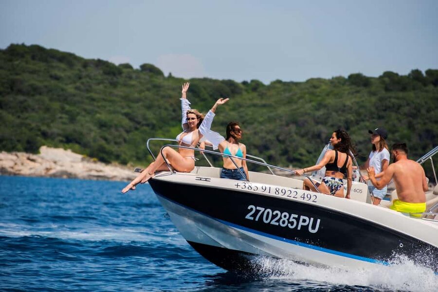 From Fazana: Dolphin watching and snorkeling in Blue Cave - Skippers who shape the experience