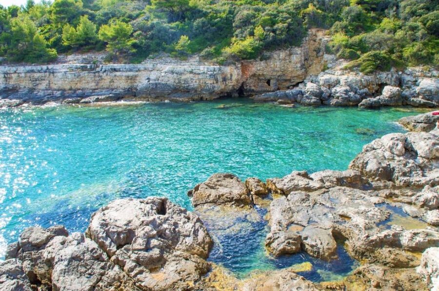 From Fažana: snorkeling at sea cave and Brijuni Island - Kozada and the Brijuni National Park waters