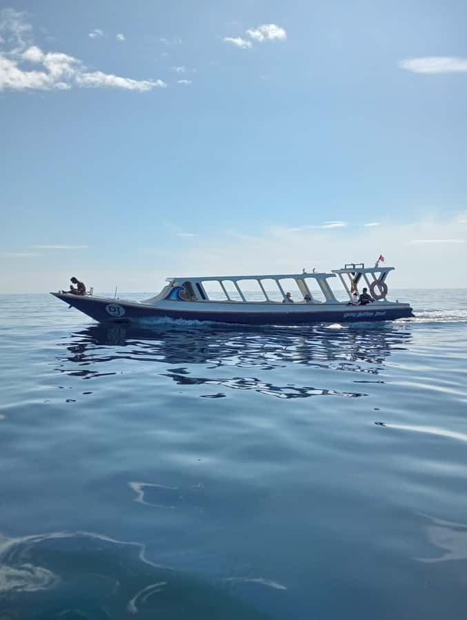 From Gili Air : 3 Islands Snorkeling Trip with Sea Turtles - Who will enjoy this trip most