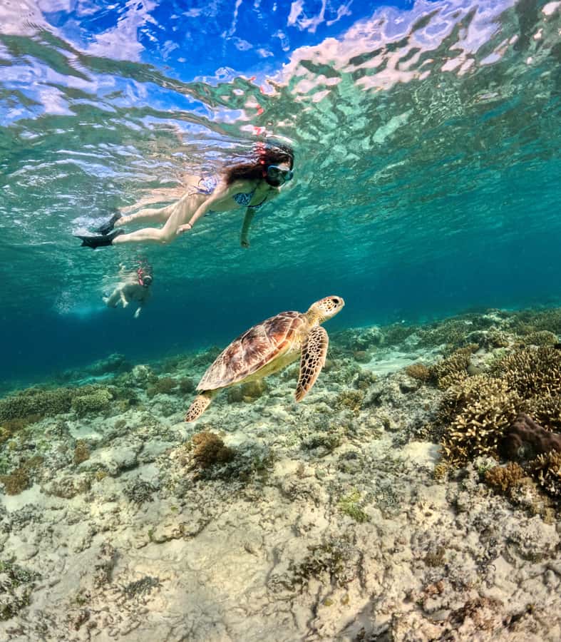From Gili Air: Private or Small Group Snorkeling Boat Tour - Equipment, comfort, and what to pack