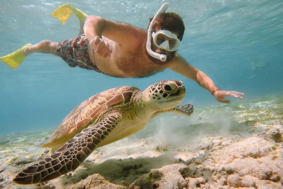 From Gili Air: Snorkeling with Turtles & Underwater Statue - The glass-bottom boat ride from Gili Air