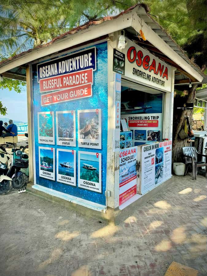 From Gili Air: Snorkeling with Turtles & Underwater Statue - Turtle stops and the best wildlife moments