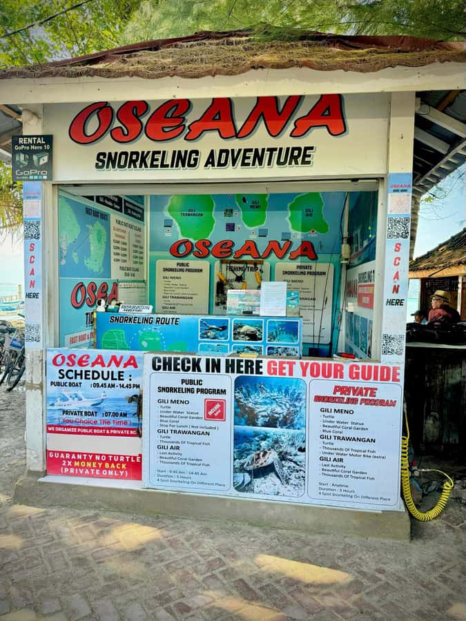 From Gili Air: Snorkeling with Turtles & Underwater Statue - Group or private boat: which fits you?