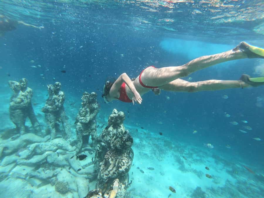 From Gili Air/Trawangan: Glass-Bottom Boat with Snorkeling - Turtle Point is the reason to book