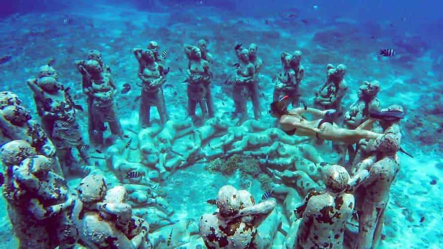 From Gili Air/Trawangan: Glass-Bottom Boat with Snorkeling - Timing, check-in, and the route