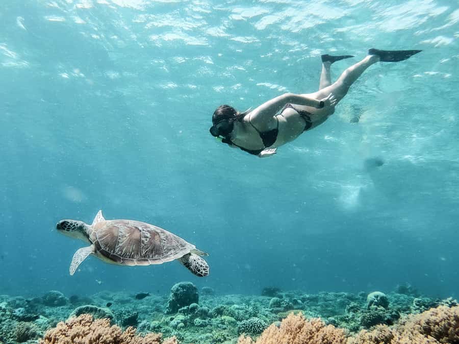 From Gili Meno: Private Snorkeling with Turtle & Statue - Key points at a glance